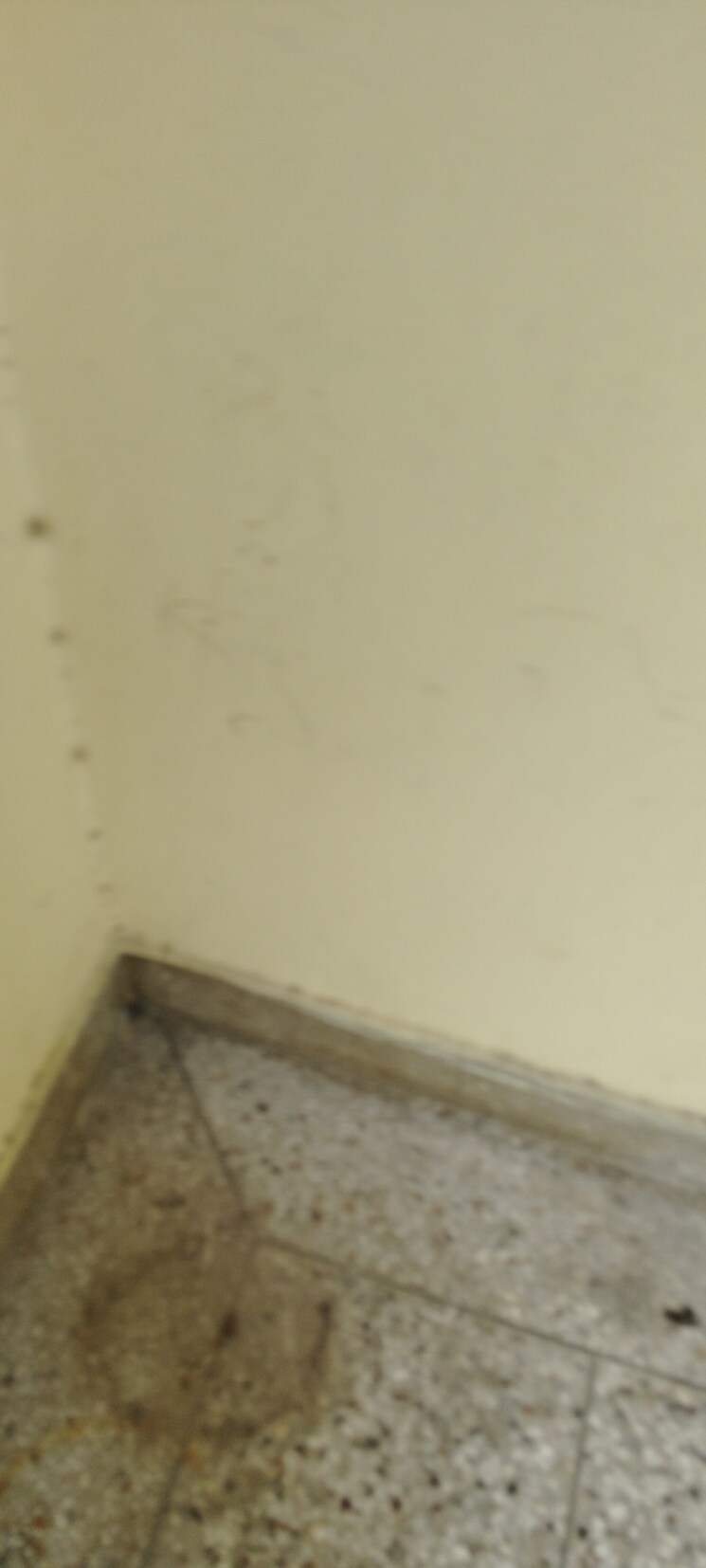 Room, g block shastri nagar 2.5 Bedroom 1500 Sq.Ft. Builder Floor In G Block Shastri Nagar Ghaziabad 9082108