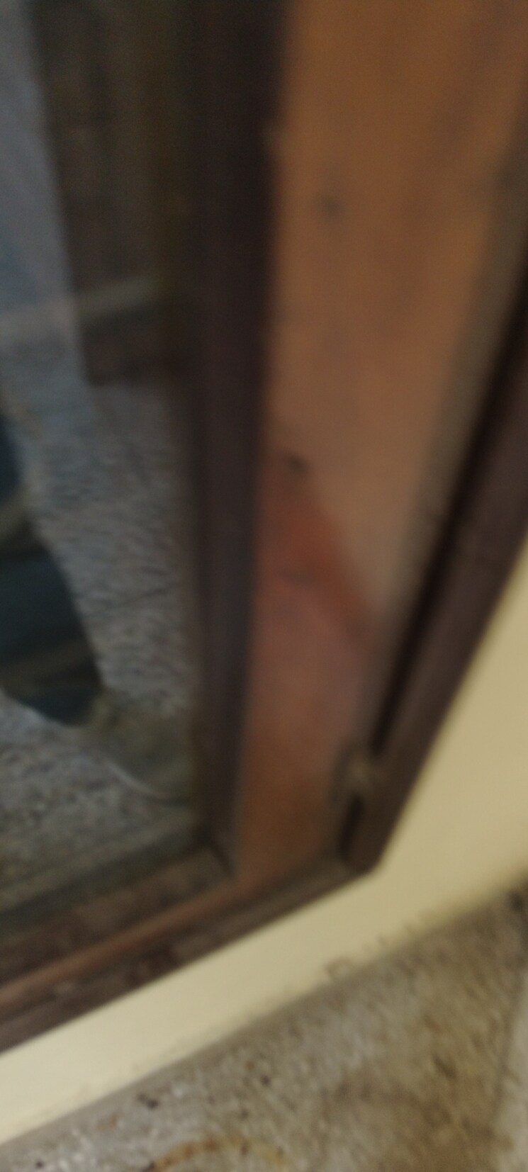 undefined, g block shastri nagar 2.5 Bedroom 1500 Sq.Ft. Builder Floor In G Block Shastri Nagar Ghaziabad 9082108