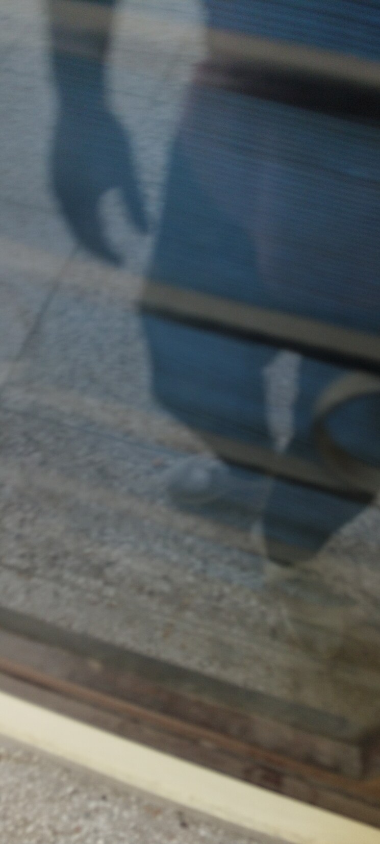 Living Room, g block shastri nagar 2.5 Bedroom 1500 Sq.Ft. Builder Floor In G Block Shastri Nagar Ghaziabad 9082108