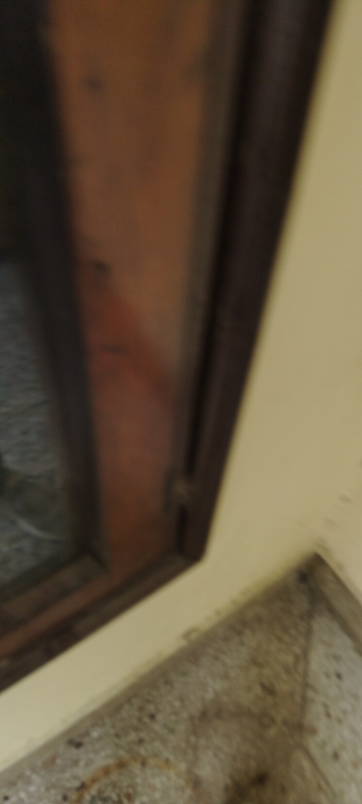 undefined, g block shastri nagar 2.5 Bedroom 1500 Sq.Ft. Builder Floor In G Block Shastri Nagar Ghaziabad 9082108