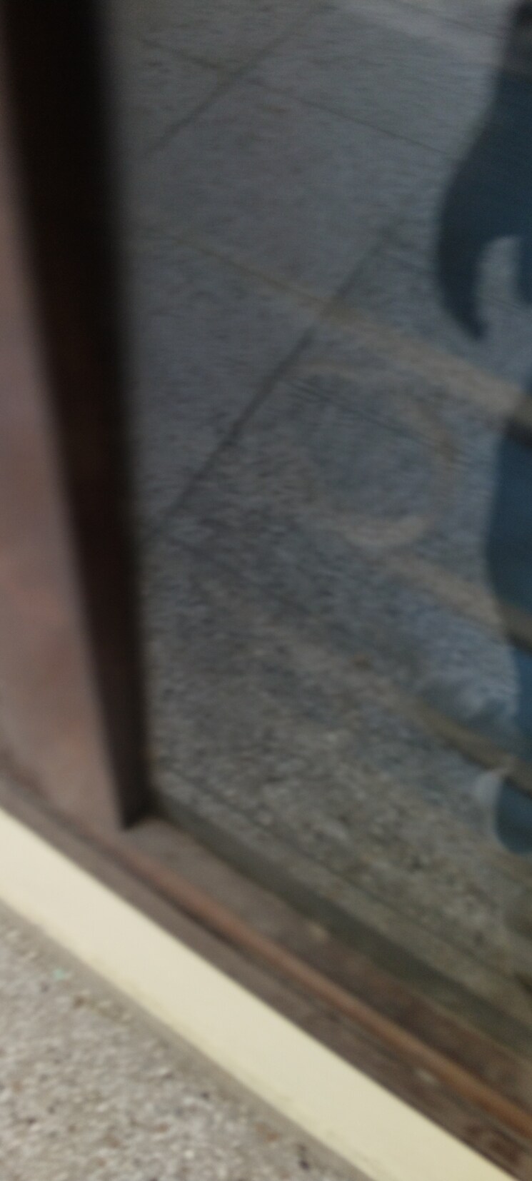 undefined, g block shastri nagar 2.5 Bedroom 1500 Sq.Ft. Builder Floor In G Block Shastri Nagar Ghaziabad 9082108