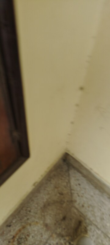 Furnished Amenities in 2.5 BHK Builder Floor at G Block Shastri Nagar – for Rent