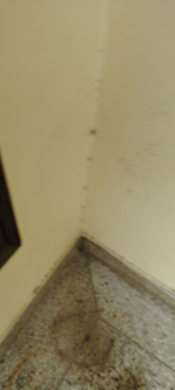 Room in 2.5 BHK Builder Floor at G Block Shastri Nagar – for Rent