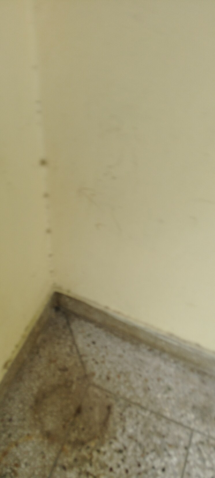 Room, g block shastri nagar 2.5 Bedroom 1500 Sq.Ft. Builder Floor In G Block Shastri Nagar Ghaziabad 9082108