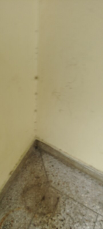 Room in 2.5 BHK Builder Floor at G Block Shastri Nagar – for Rent