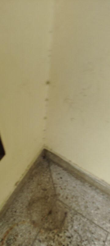 Furnished Amenities in 2.5 BHK Builder Floor at G Block Shastri Nagar – for Rent