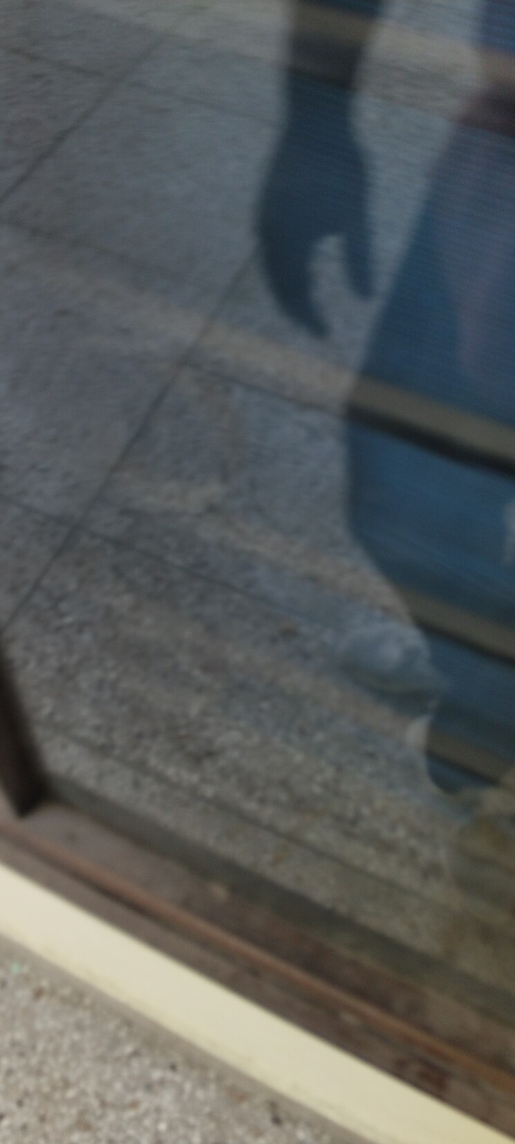  Parking, g block shastri nagar 2.5 Bedroom 1500 Sq.Ft. Builder Floor In G Block Shastri Nagar Ghaziabad 9082108