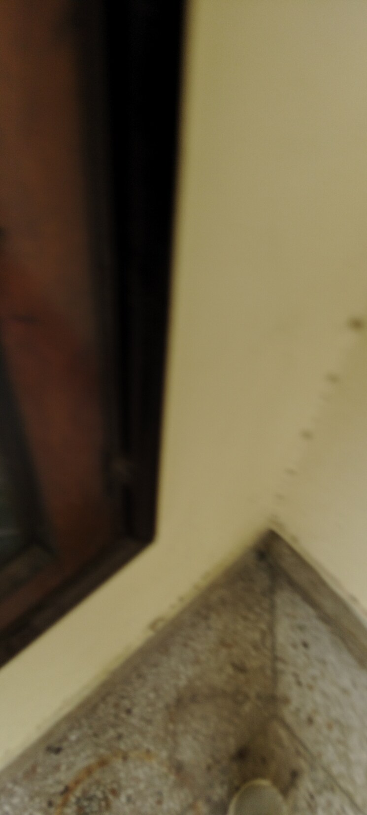 undefined, g block shastri nagar 2.5 Bedroom 1500 Sq.Ft. Builder Floor In G Block Shastri Nagar Ghaziabad 9082108