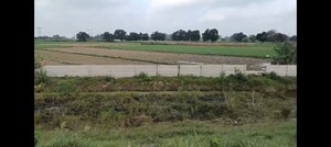  Land For Sale in Kanpur University