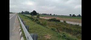 Plot Area in  Land at Kanpur University – for Sale