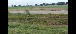 Plot Area in  Land at Kanpur University – for Sale