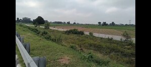 Plot Area in  Land at Kanpur University – for Sale