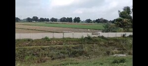 Plot Area in  Land at Kanpur University – for Sale