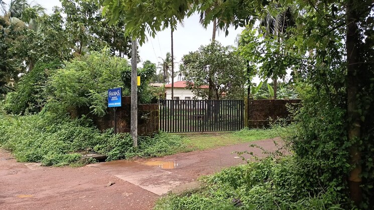 Garden, thottada Commercial Land 4356 Sq.Ft. In Thottada Kannur 9082316
