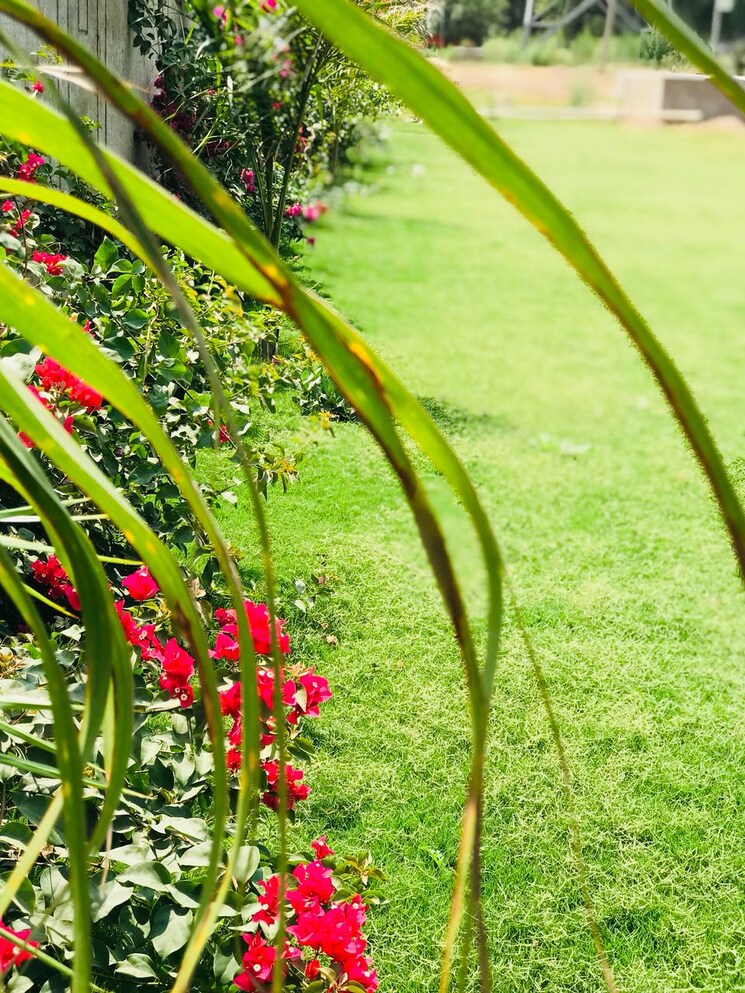 Garden, sector 113 3 Bedroom 2043 Sq.Ft. Builder Floor In Sector 113 Mohali 9082395