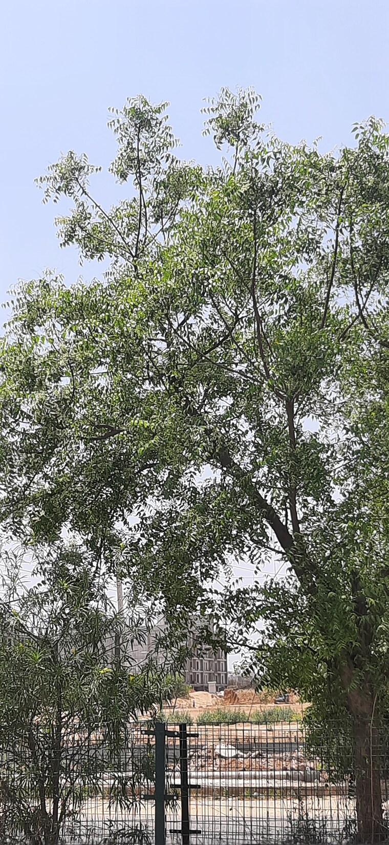 Garden, signature-global-proxima 2 Bedroom 674 Sq.Ft. Apartment In Sector 89 Gurgaon 9082446