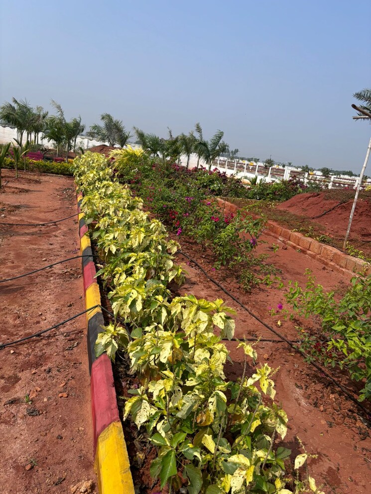 Garden, kankipadu  166 Sq.Yd. Plot In Kankipadu Vijayawada 9082482