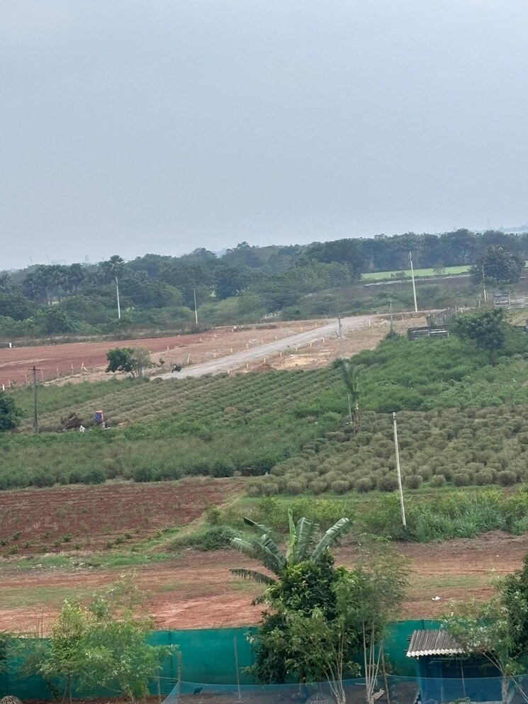 undefined, mangalagiri  183 Sq.Yd. Plot In Mangalagiri Vijayawada 9082504