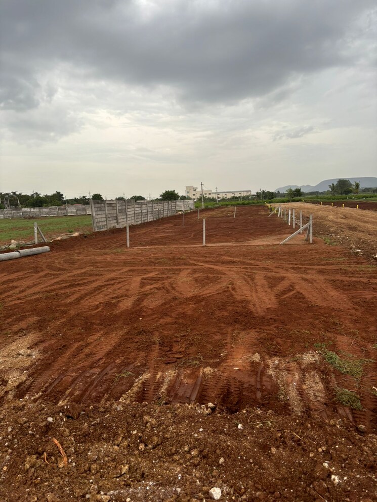 undefined, mangalagiri  183 Sq.Yd. Plot In Mangalagiri Vijayawada 9082504