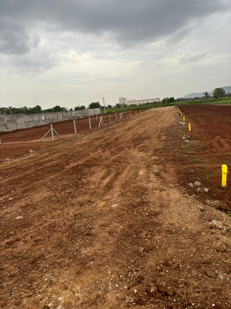 undefined, mangalagiri  183 Sq.Yd. Plot In Mangalagiri Vijayawada 9082504