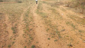 Plot Area in  Plot at Gandipet – for Sale