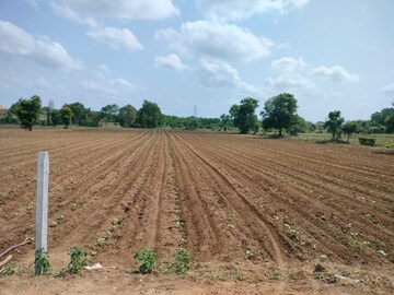  Plot For Sale in Gandipet