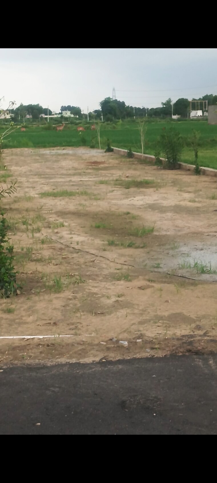 undefined, a-v-vihaan-galaxy  50 Sq.Yd. Plot In Kulesara Greater Noida 9082631