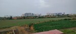 50 Sq.Yd. Plot in Sabir Nagar
