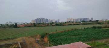  Plot For Sale in Sector 80