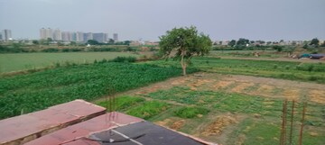 Plot Area in  Plot at Sector 80 – for Sale