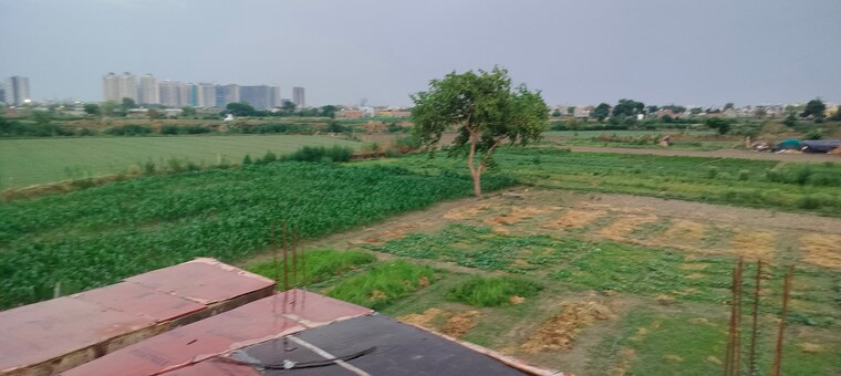 undefined, sector 80  50 Sq.Yd. Plot In Sector 80 Noida 9082677