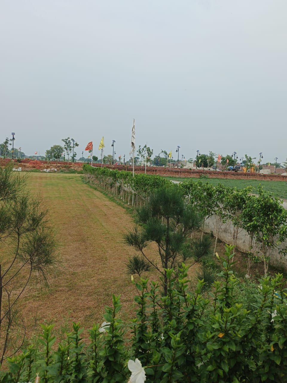 Plot For Sale in Jattari