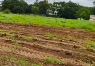 Plot For Sale in Budhera