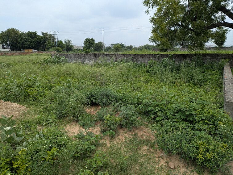 Cover Image, vaidpura  100 Sq.Yd. Plot In Vaidpura Greater Noida 9082859
