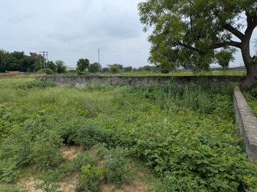 Plot Area in  Plot at Vaidpura – for Sale