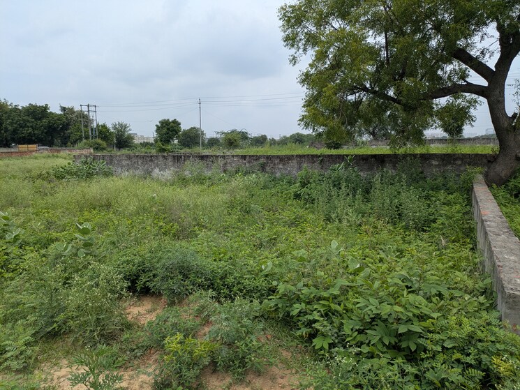 undefined, vaidpura  100 Sq.Yd. Plot In Vaidpura Greater Noida 9082859