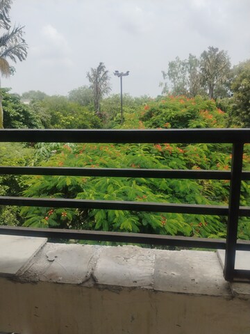 Balcony in 3 BHK Builder Floor at Malviya Nagar – for Rent