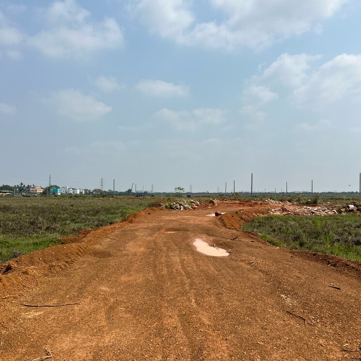 undefined, patrapada  1500 Sq.Ft. Plot In Patrapada Bhubaneswar 9082938