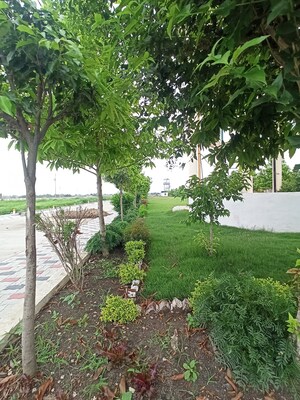  Plot – Garden View at Ringnodiya - for Sale