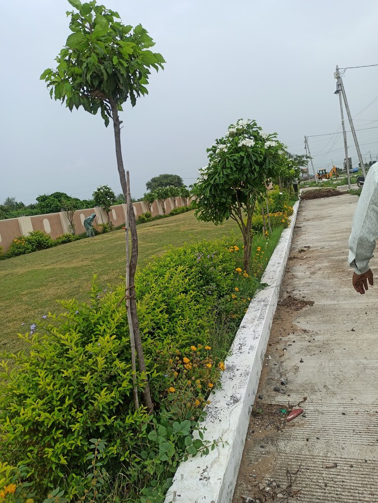 undefined, ringnodiya  600 Sq.Ft. Plot In Ringnodiya Indore 9082972