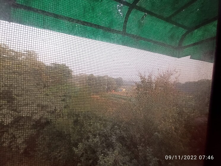 Swimming Pool, awho-apartments 2 Bedroom 1850 Sq.Ft. Builder Floor In Sector 22 Gurgaon 9082975