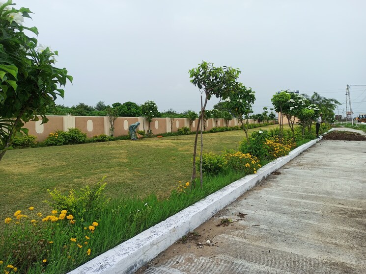 undefined, ringnodiya  800 Sq.Ft. Plot In Ringnodiya Indore 9082990