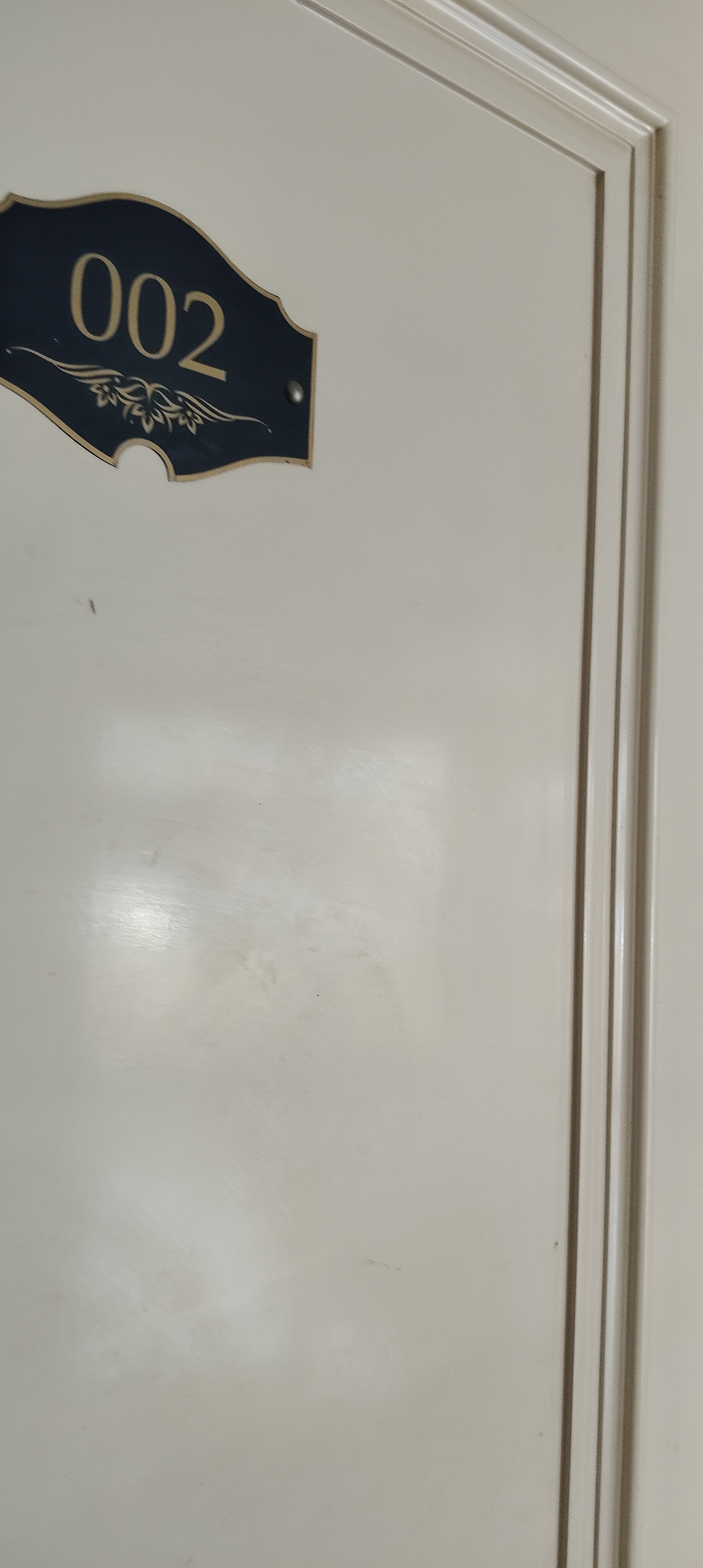 3 BHK Apartment For Rent in Omaxe The Palace