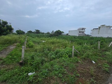 Plot Area in  Plot at Sector 34 – for Sale