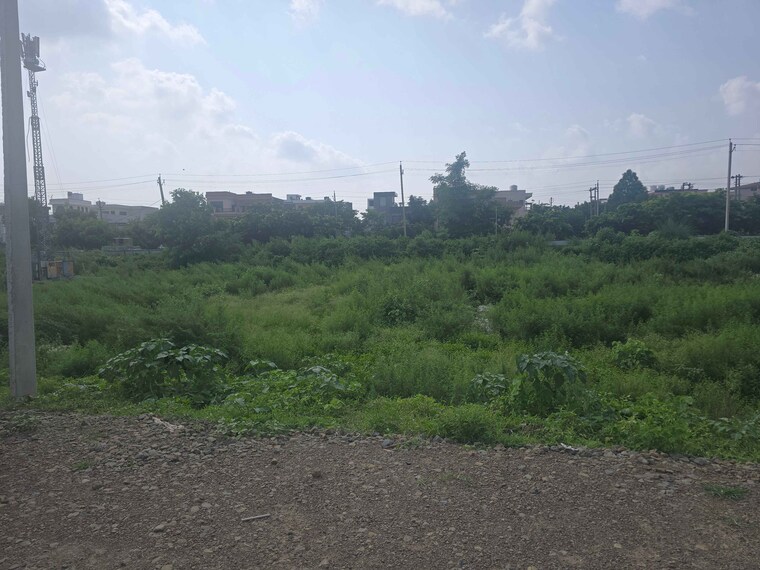 undefined, sector 21  165 Sq.Yd. Plot In Sector 21 Panchkula 9083283