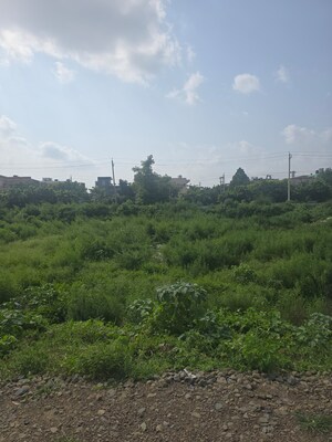 Plot Area in  Plot at Sector 21 – for Sale