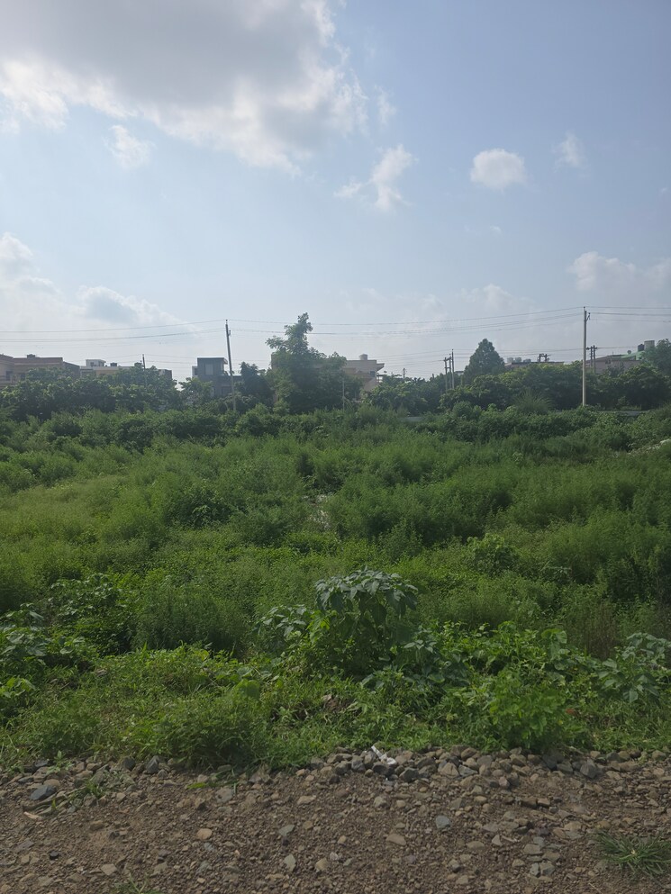 undefined, sector 21  165 Sq.Yd. Plot In Sector 21 Panchkula 9083283