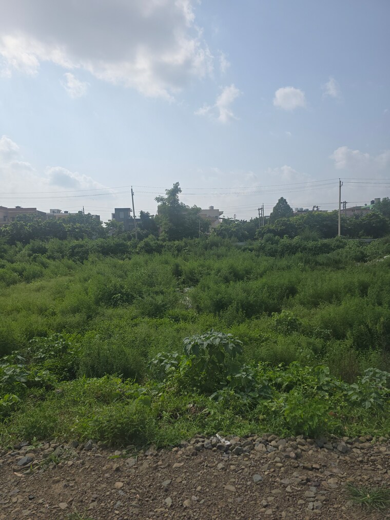 undefined, sector 21  165 Sq.Yd. Plot In Sector 21 Panchkula 9083283
