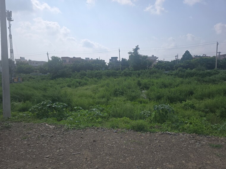 undefined, sector 21  165 Sq.Yd. Plot In Sector 21 Panchkula 9083283