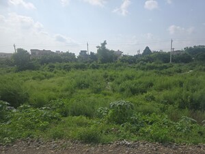 Plot Area in  Plot at Sector 21 – for Sale